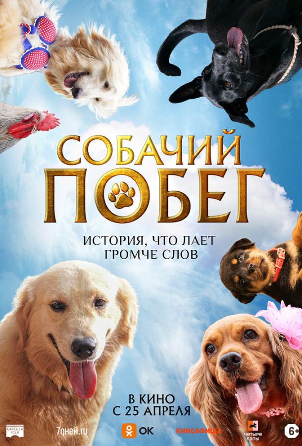 Фильм Собачий побег (2023) смотреть онлайн в хорошем качестве